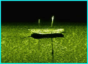 Misc. Sonar Images